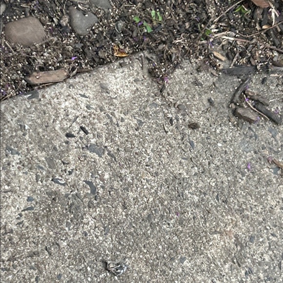 Colorful Star Sterling Silver Kids Ring - Picture 8 of 8